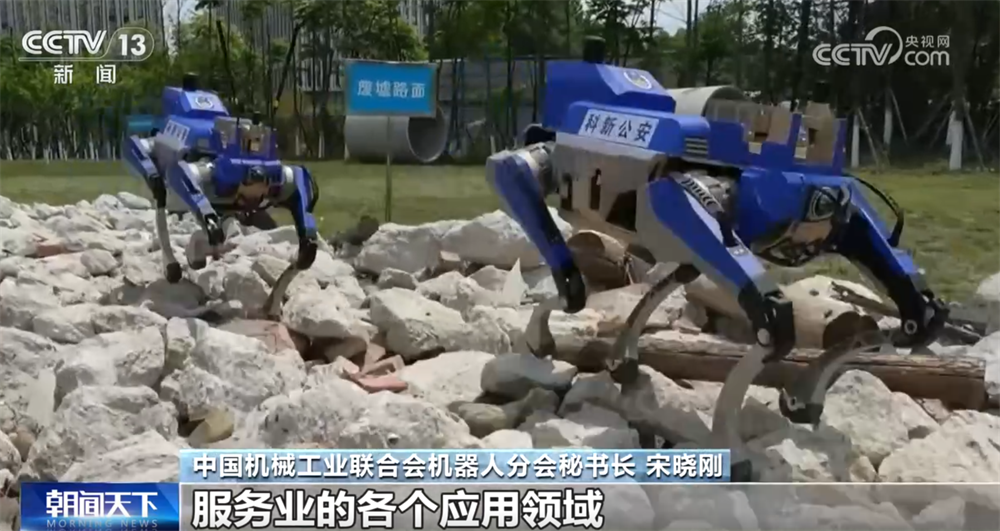 “十四五”时期，我国机器人产业发展成效显著，实现“从小到大”的跨越